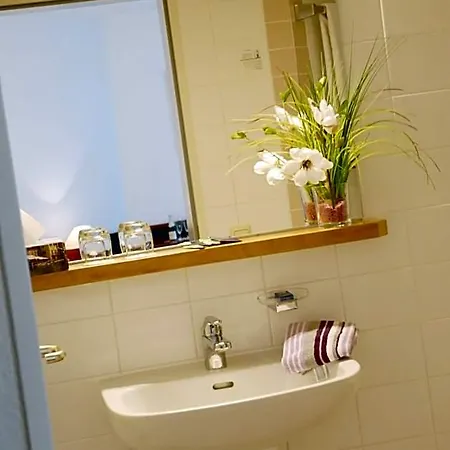 Altstadt Hotel 3*